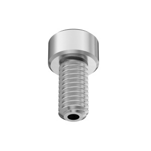 Cleaned&Bagged A2 Vacuum Socket Head Screw High-Vacuum, M4 x 0.7 mm Thread Size, 8mm Long图3